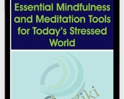 Essential Mindfulness and Meditation Tools for Todays Stressed World - Donald Altman