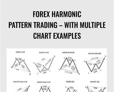 Forex Harmonic Pattern Trading-With Multiple Chart Examples - Luciano Kelly