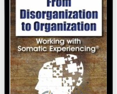 From Disorganization to Organization: Working with Somatic Experiencing® - Nancy Napier