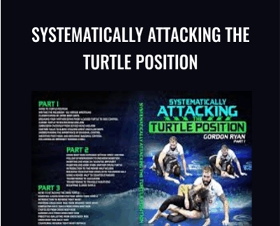 Systematically Attacking the Turtle Position - Gordon Ryan