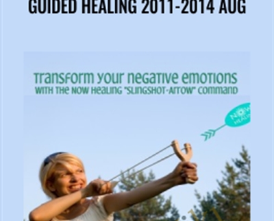 Guided Healing 2011-2014 Aug - Ehna Mayer