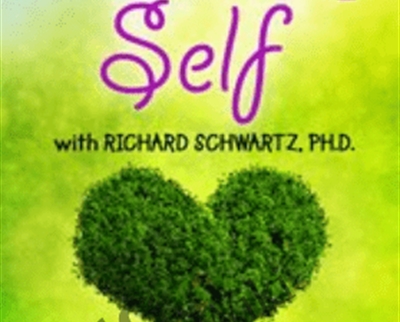 Healing Self: Going Beyond Acceptance to Self-Compassion - Richard C. Schwartz