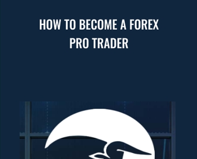 How To Become A Forex Pro Trader - Chris Capre