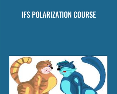 IFS Polarization Course - Jay Earley