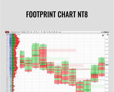 Footprint Chart NT8 - Indicatormall