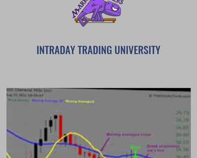 Intraday Trading University - Market Stalkers