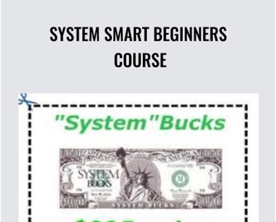 System Smart Beginners Course - Ken McCarthy