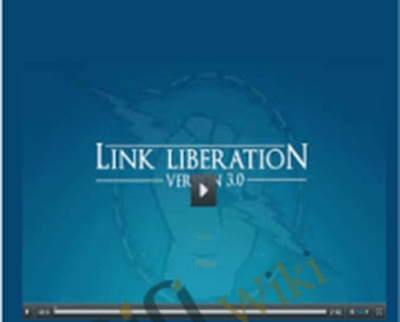 Link Liberation 3 - Dan Thies and Leslie Rohde
