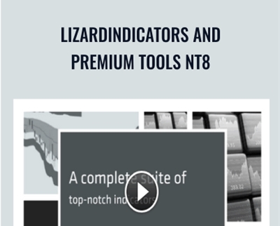 LizardIndicators and Premium Tools NT8 - LizardIndicators