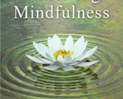Mastering Mindfulness -  Joan Borysenko and other