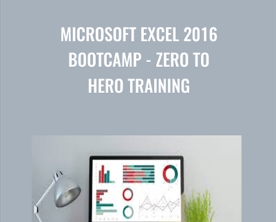 Microsoft Excel 2016 Bootcamp-ero to Hero Training - Daniel Walter Scott