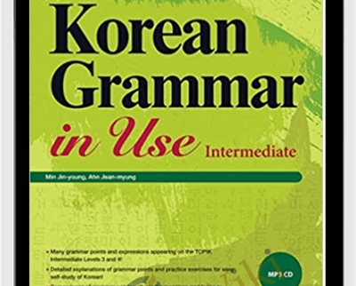 Korean grammar in use - Min Jin-young and Ahn Jean-myung