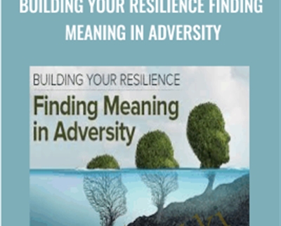 Building Your Resilience Finding Meaning in Adversity - Molly Birkholm