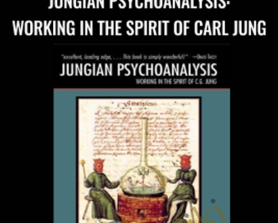 Jungian Psychoanalysis: Working in the Spirit of Carl Jung - Murray Stein