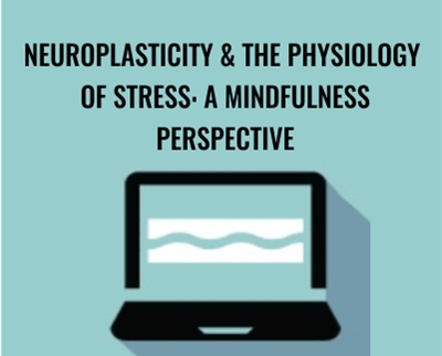 Neuroplasticity and the Physiology of Stress: A Mindfulness Perspective - Clyde Boiston