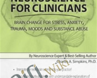 Neuroscience for Clinicians: Brain Change for Stress