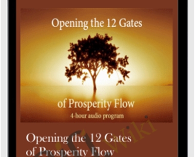 Opening the 12 Gates of Prosperity Flow (4 hours of audio recordings) - Anonymous