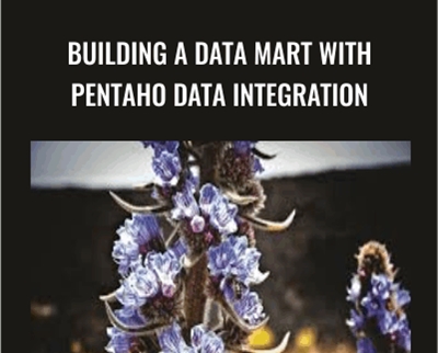 Building a Data Mart with Pentaho Data Integration - Packt Publishing