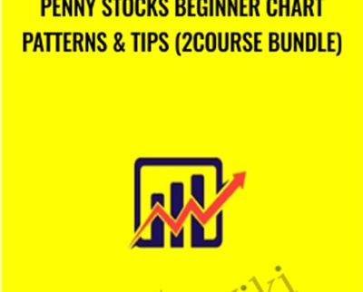 Penny Stocks Beginner Chart Patterns and Tips (2Course Bundle) - Saad Tariq Hameed
