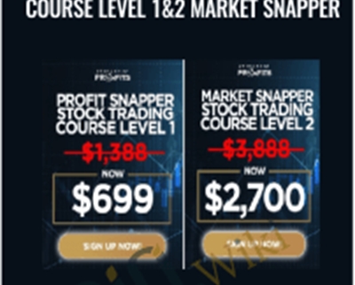 Piranha Profits-Stock Trading Course Level 1and2 Market Snapper - Adam Khoo