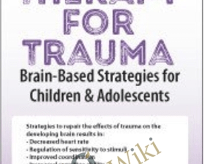 Play Therapy for Trauma: Brain-Based Strategies for Children and Adolescents - Amy Flaherty