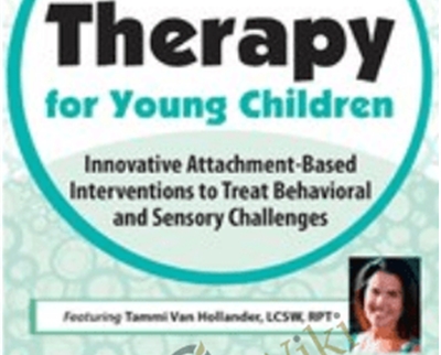 Play Therapy for Young Children: Innovative Attachment-Based Interventions to Treat Behavioral and Sensory Challenges - Tammi Van Hollander