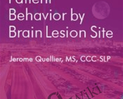 Predicting Patient Behavior by Brain Lesion Site - Jerome Quellier