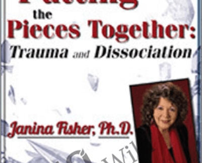 Putting the Pieces Together: Trauma and Dissociation - Janina Fisher