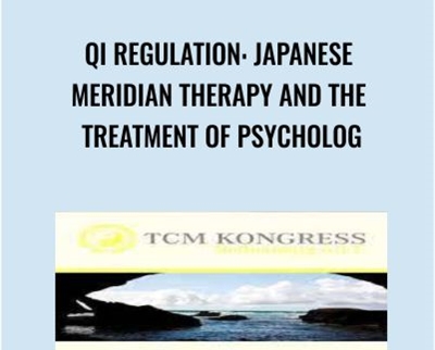 Qi Regulation-Japanese Meridian Therapy and the Treatment of Psycholog - Stephen Birch