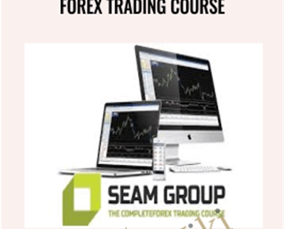 Forex Trading Course-Seam Group - Stefan Theron