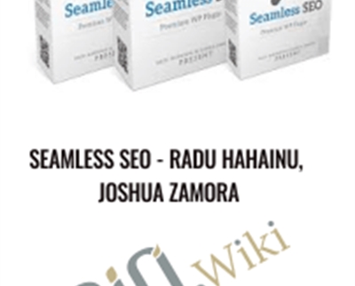 Seamless SEO - Radu Hahainu
