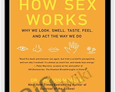 How Sex Works: Why We Look