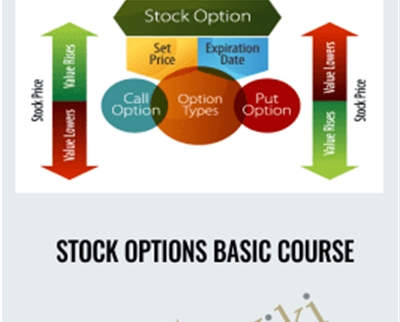 Stock Options Basic Course - Adam Khoo