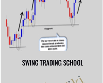 Swing Trading School - Nirvana Systems