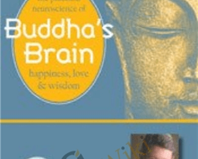 Buddha's Brain-The Practical Neuroscience of Happiness