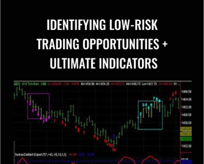 Identifying Low-Risk Trading Opportunities + Ultimate Indicators - Tom Demark