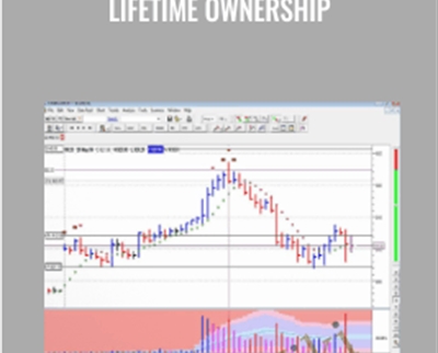 lifetime ownership - VSA For Metastock