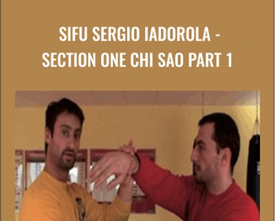 Sifu Sergio Iadorola-Section One Chi Sao Part 1 - Wing Tjun