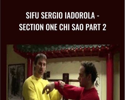 Sifu Sergio Iadorola-Section One Chi Sao Part 2 - Wing Tjun