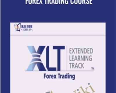 Forex Trading Course - XLT