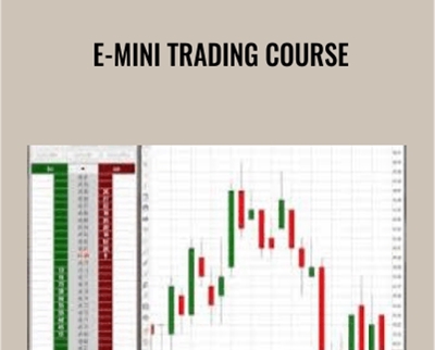 E-mini Trading Course - Zoran Kolundzic