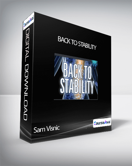Sam Visnic - Back To Stability