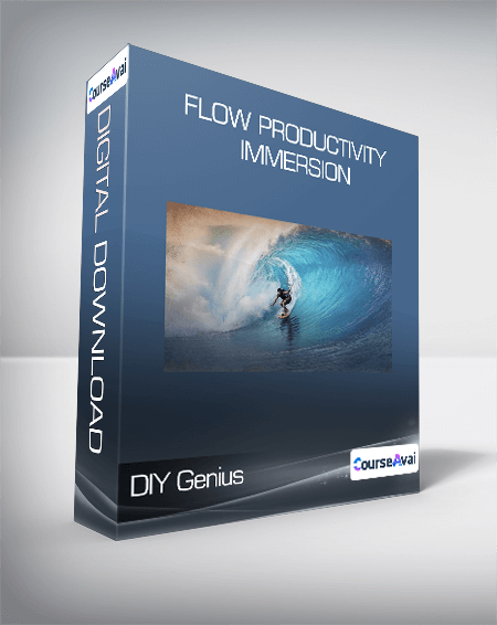 DIY Genius - Flow Productivity Immersion