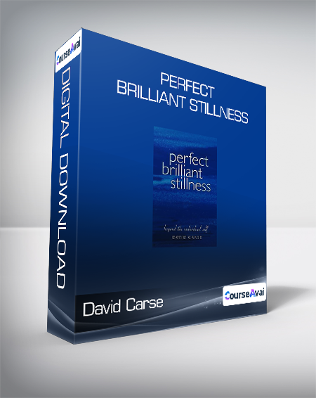 David Carse - Perfect Brilliant Stillness