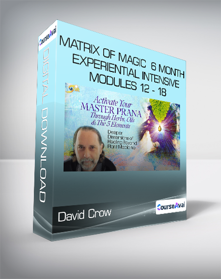 David Crow - Matrix of Magic - 6 - Month Experiential Intensive - Modules 12 - 18