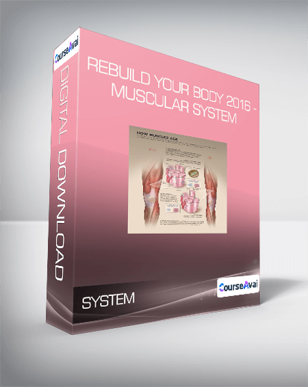 Rebuild Your Body 2016 - Muscular System