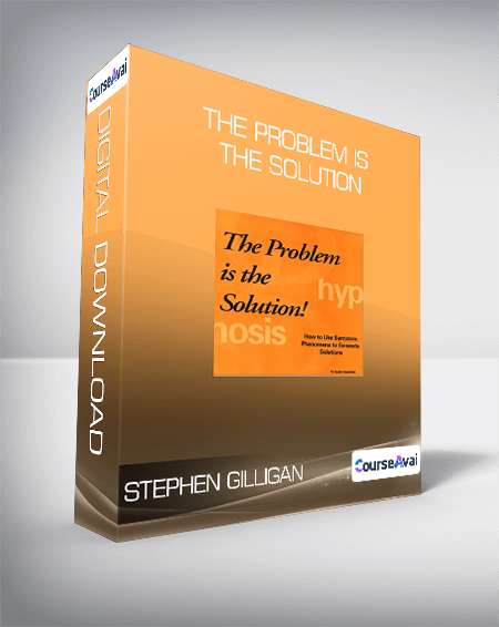 Stephen Gilligan - The Problem is The Solution