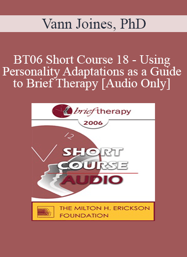 [Audio Only] BT06 Short Course 18 - Using Personality Adaptations as a Guide to Brief Therapy - Vann Joines