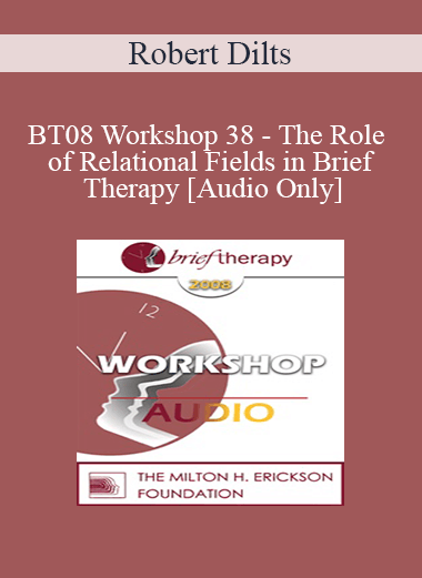 [Audio Only] BT08 Workshop 38 - The Role of Relational Fields in Brief Therapy - Robert Dilts