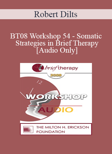 [Audio Only] BT08 Workshop 54 - Somatic Strategies in Brief Therapy - Robert Dilts